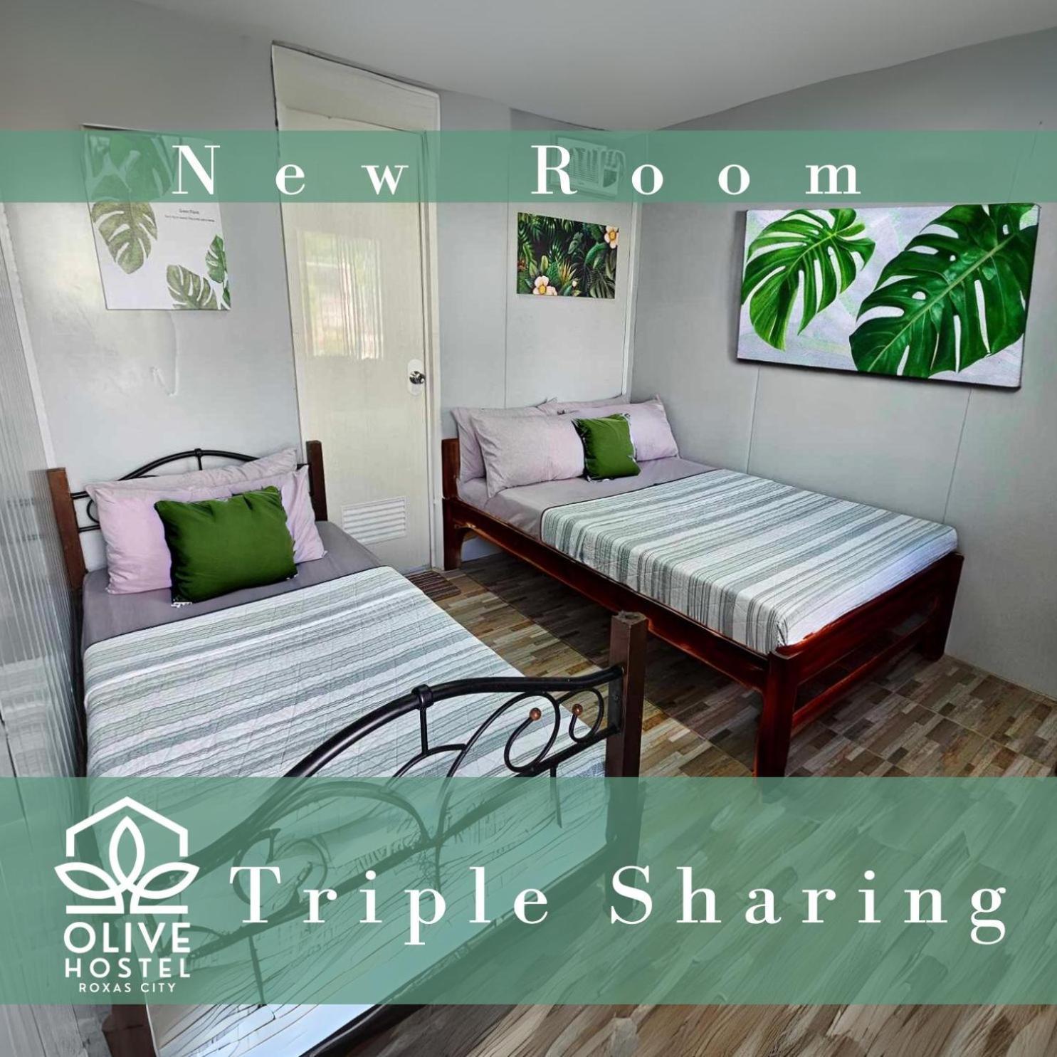Olive Hostel Roxas City Ngoại thất bức ảnh
